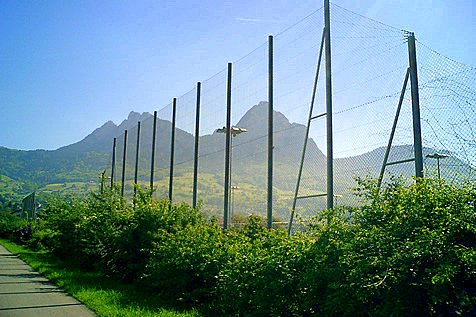 Ballf&auml;nger bei Sportplatz